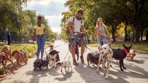 How Do You Find Clients for Your Dog Walking Business