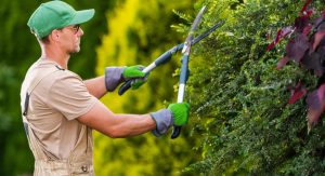 How Are Self-Employed Gardener Rates Determined in the UK