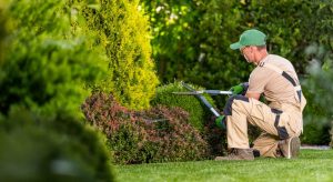 How Does Self-Employed Gardening Compare to Being an Employed Gardener