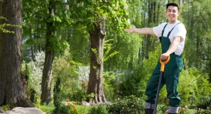 What Are the Legal and Tax Considerations for Self-Employed Gardeners