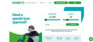 Bamboo Loans